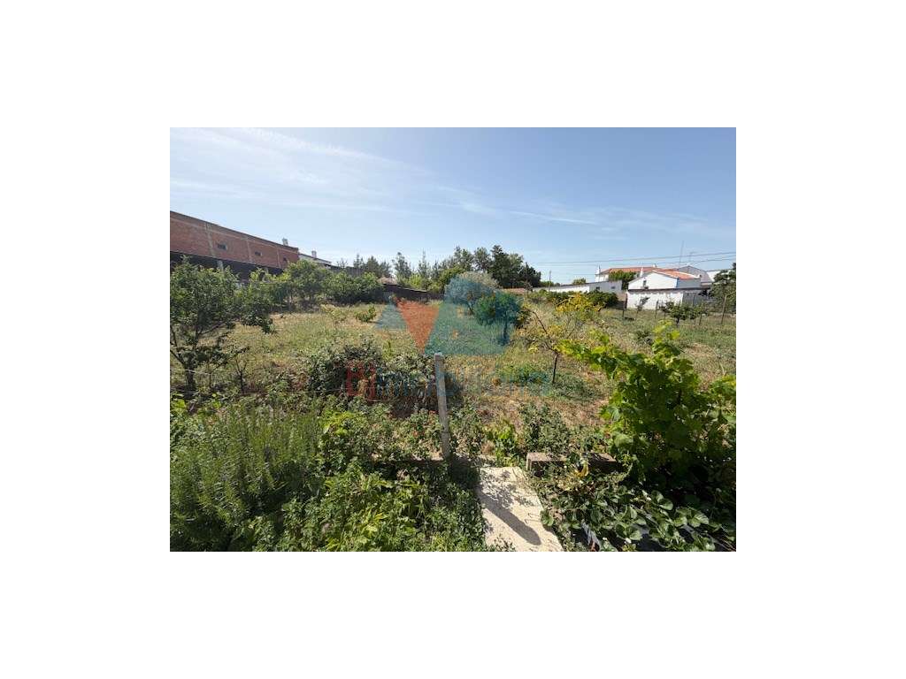 QUINTA-5