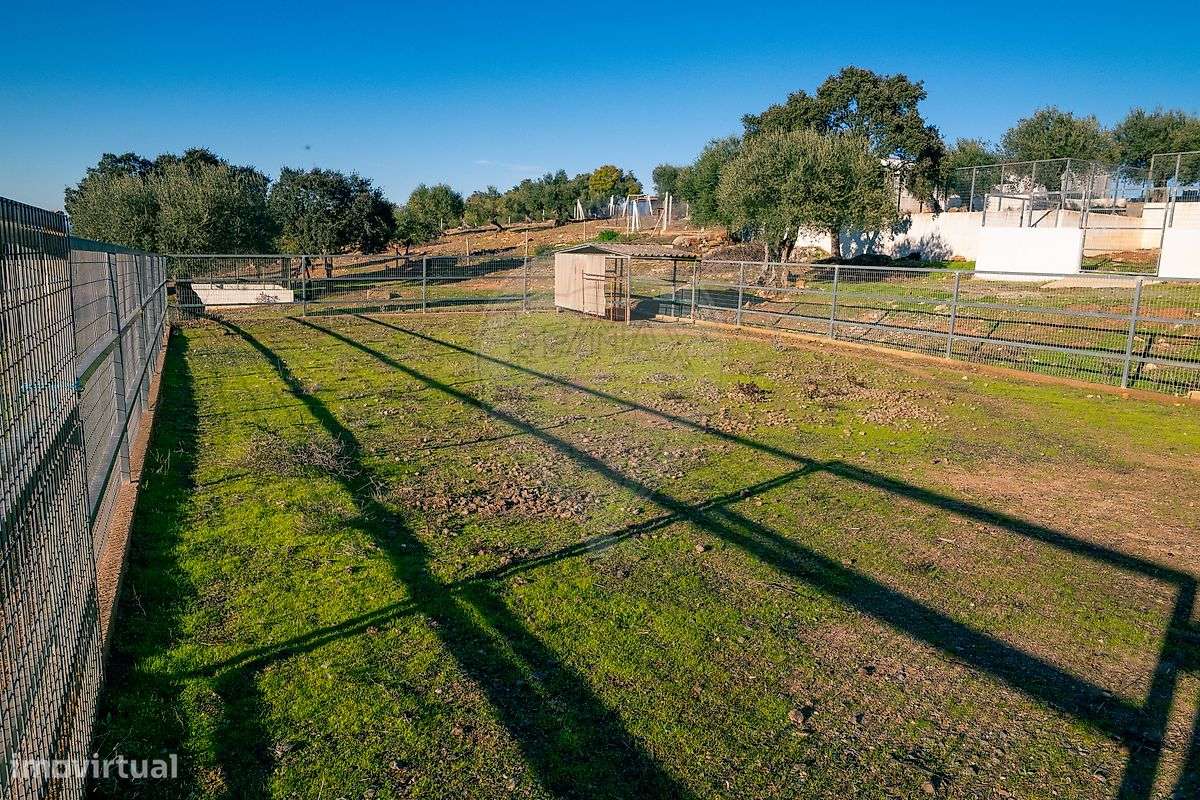 Quinta T10 para venda-45