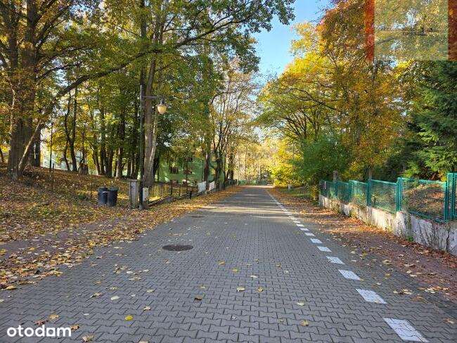 600m od plaży- Jastrzębia Góra (Klonowa)-10