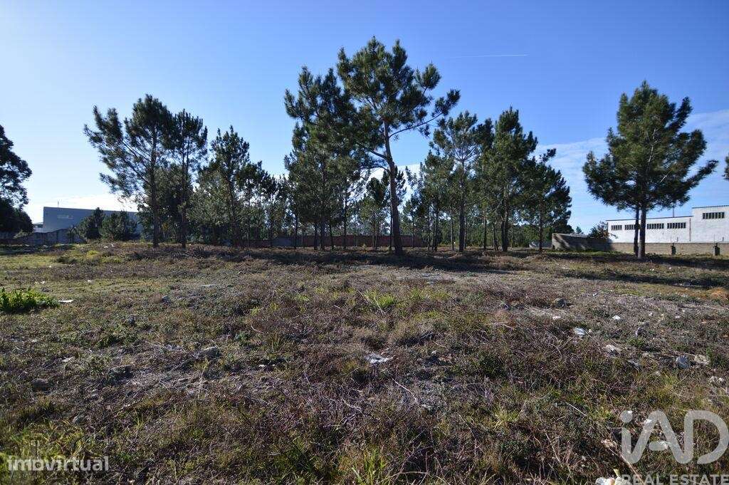 Terreno para construção em Marinha Grande - Grande imagem: 4/4