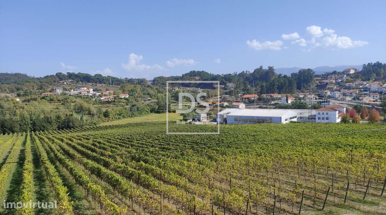 Terreno, 940 m², Freixo de Cima e de Baixo-6