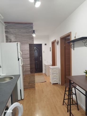Apartament cu o cameră,str Porii langa PROFI Florești-1