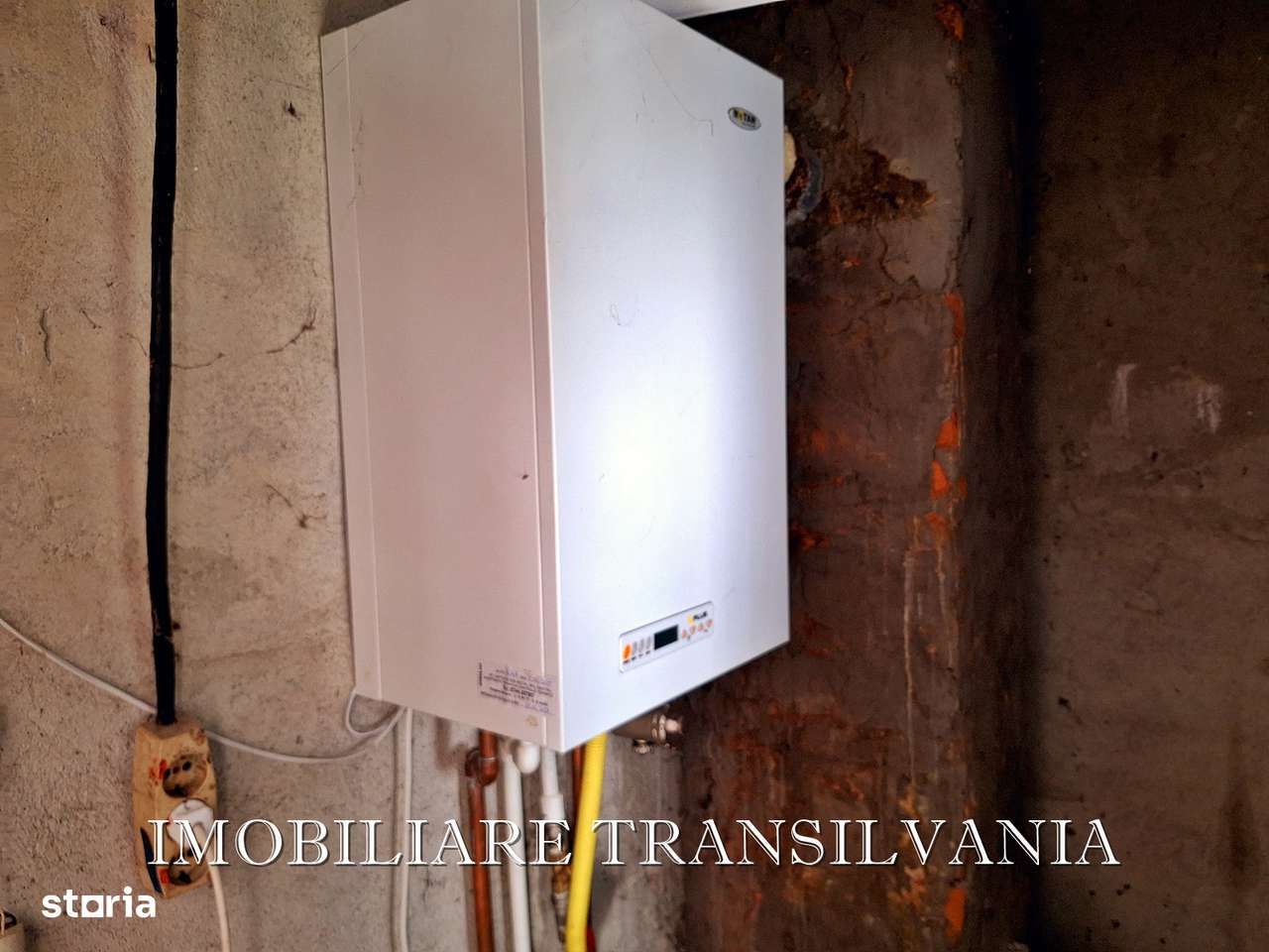 Teren intravilan 4200mp si casa - Valea Budacului-19