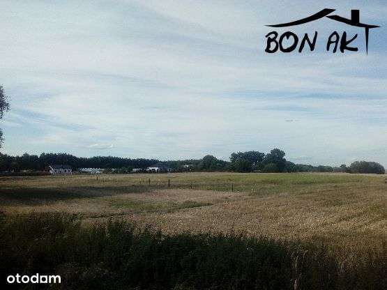 Duża działka pod zabudowę jednorodzinną - Pełny obrazek: 5/7