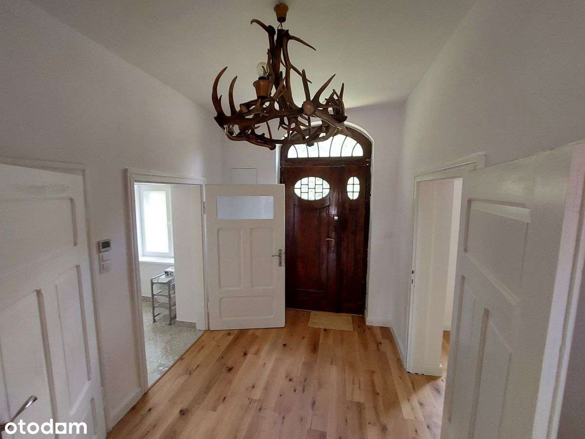 dej687048 - Pełny obrazek: 4/20