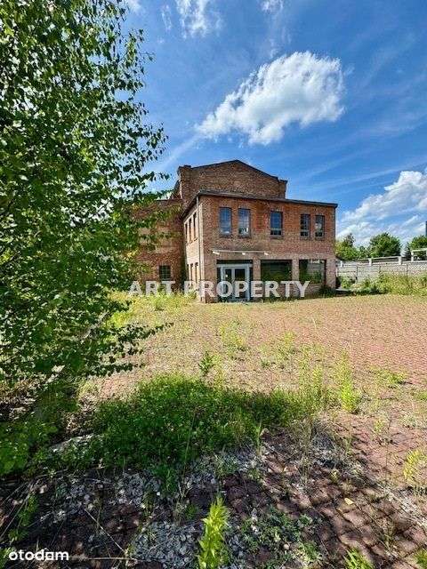 Lokal użytkowy, 1 045 m², Katowice - Pełny obrazek: 5/8