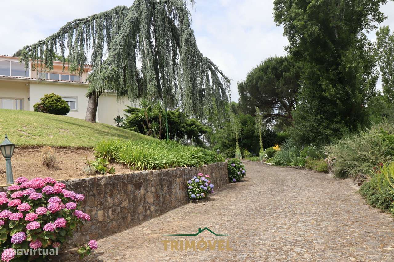 Moradia Isolada T3 Venda em Ossela,Oliveira de Azeméis-51