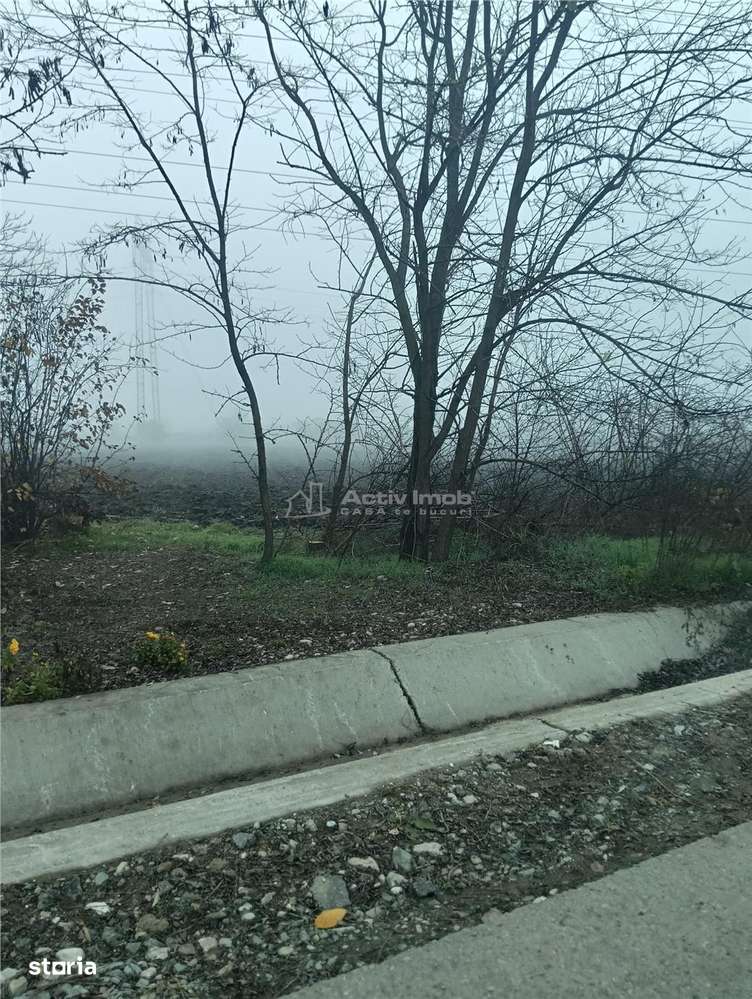 Terenuri de vanzare in Cornetu si Buda-Toate utilitatile-Asfalt - Imagine principală: 4/4