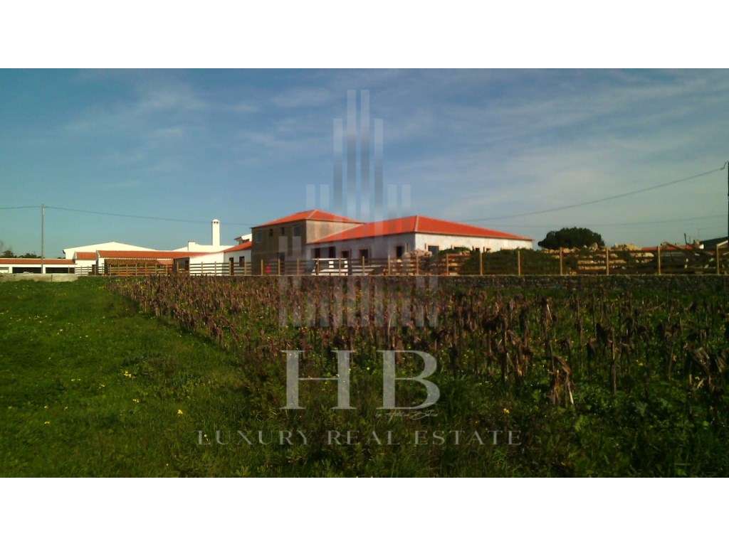 Terrenos Urbano na Assafora | São Julião - Grande imagem: 4/9