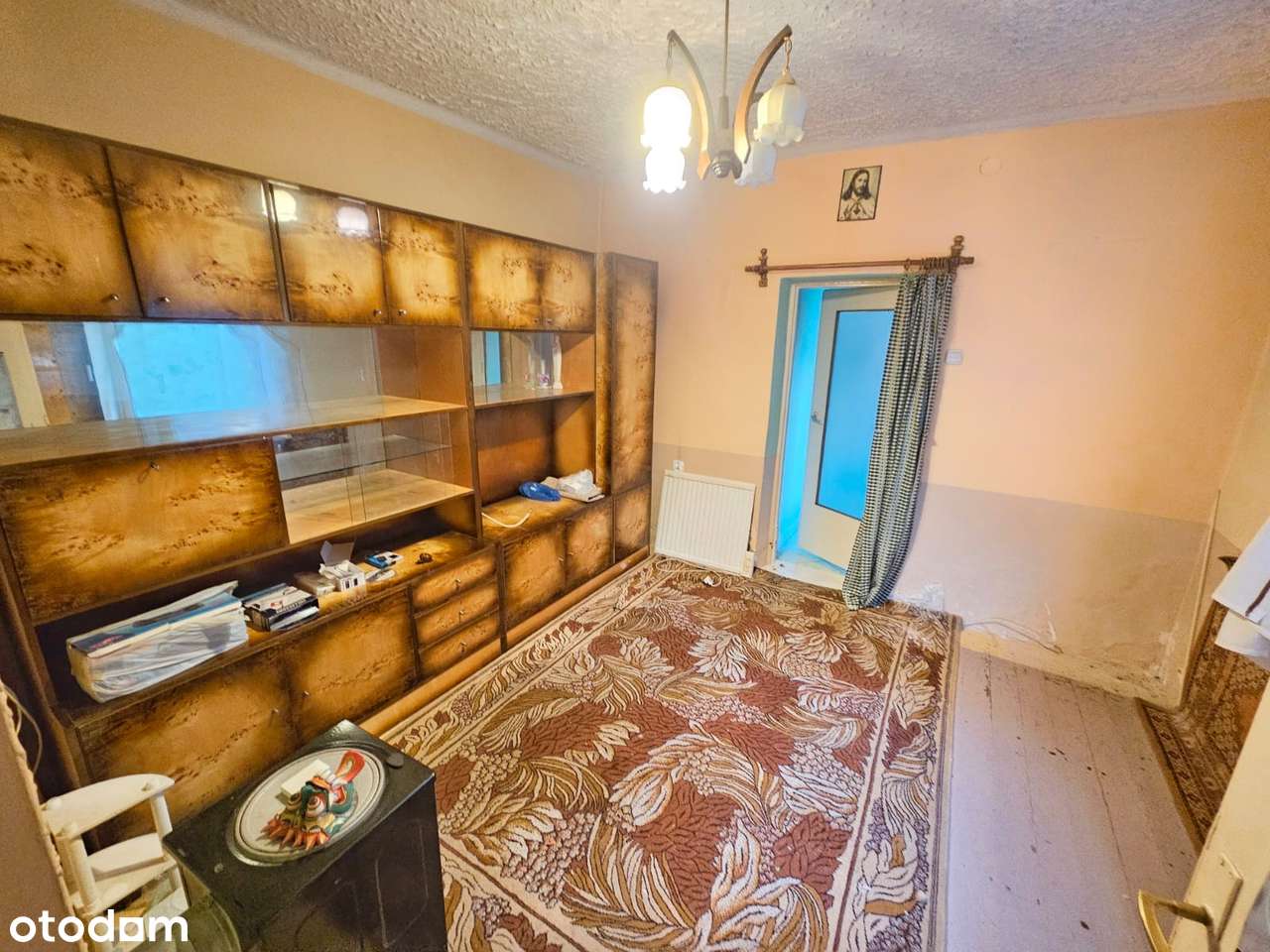 Tylko gotówka, Dąbrowa Narodowa, mały domek, z małą działką-3