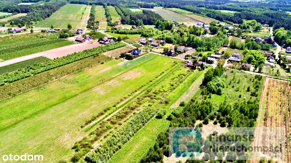 Kompleks działek w malowniczej wsi Ossa - Pełny obrazek: 4/13