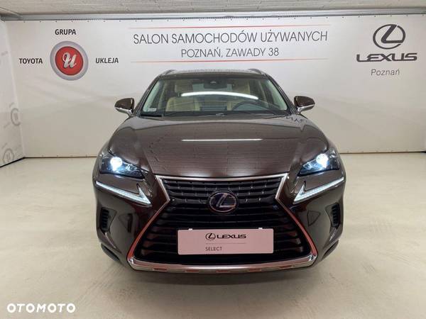 Lexus NX - 6