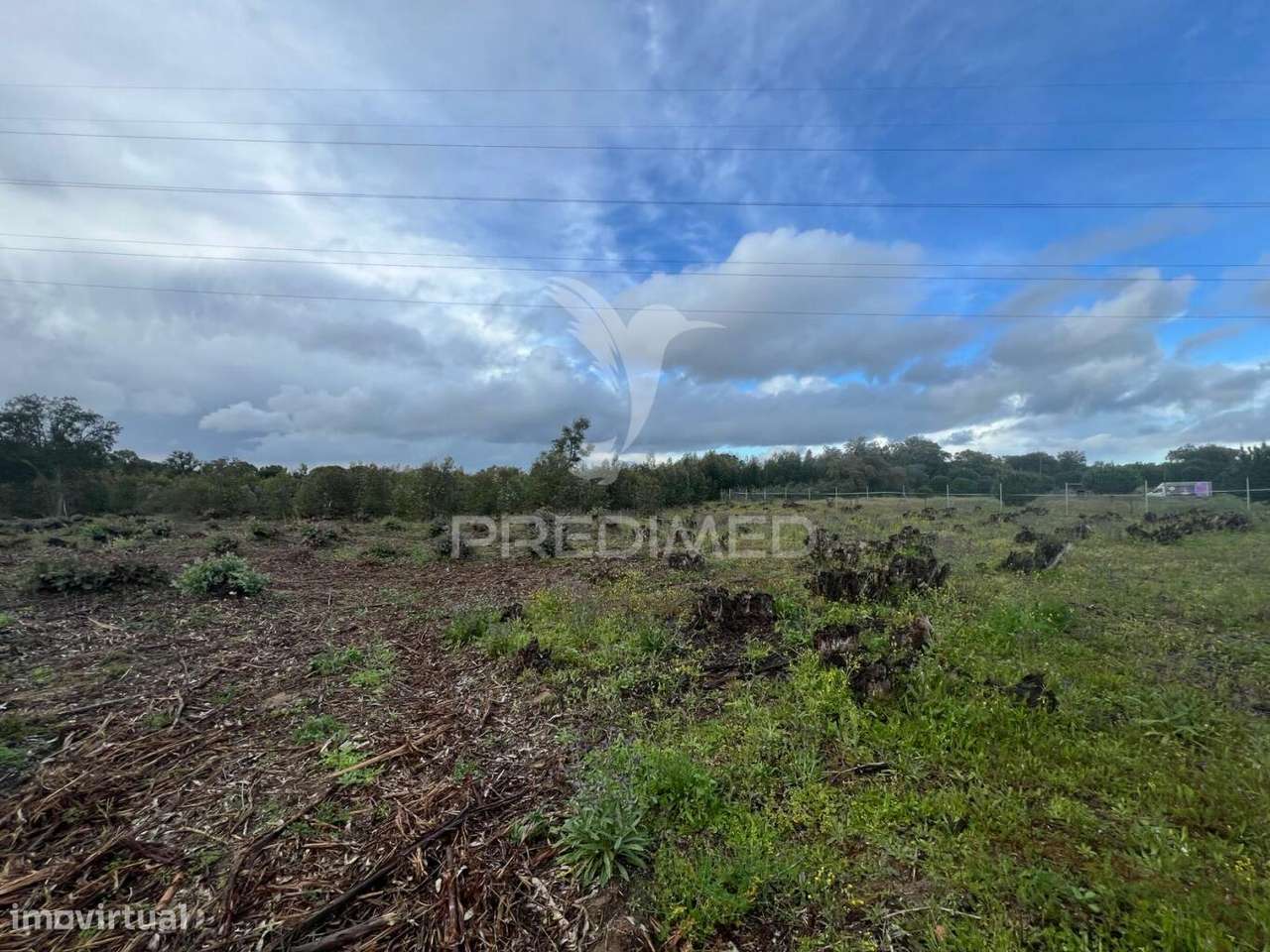Terreno rústico na Lagoinha, em Palmela - Grande imagem: 4/8