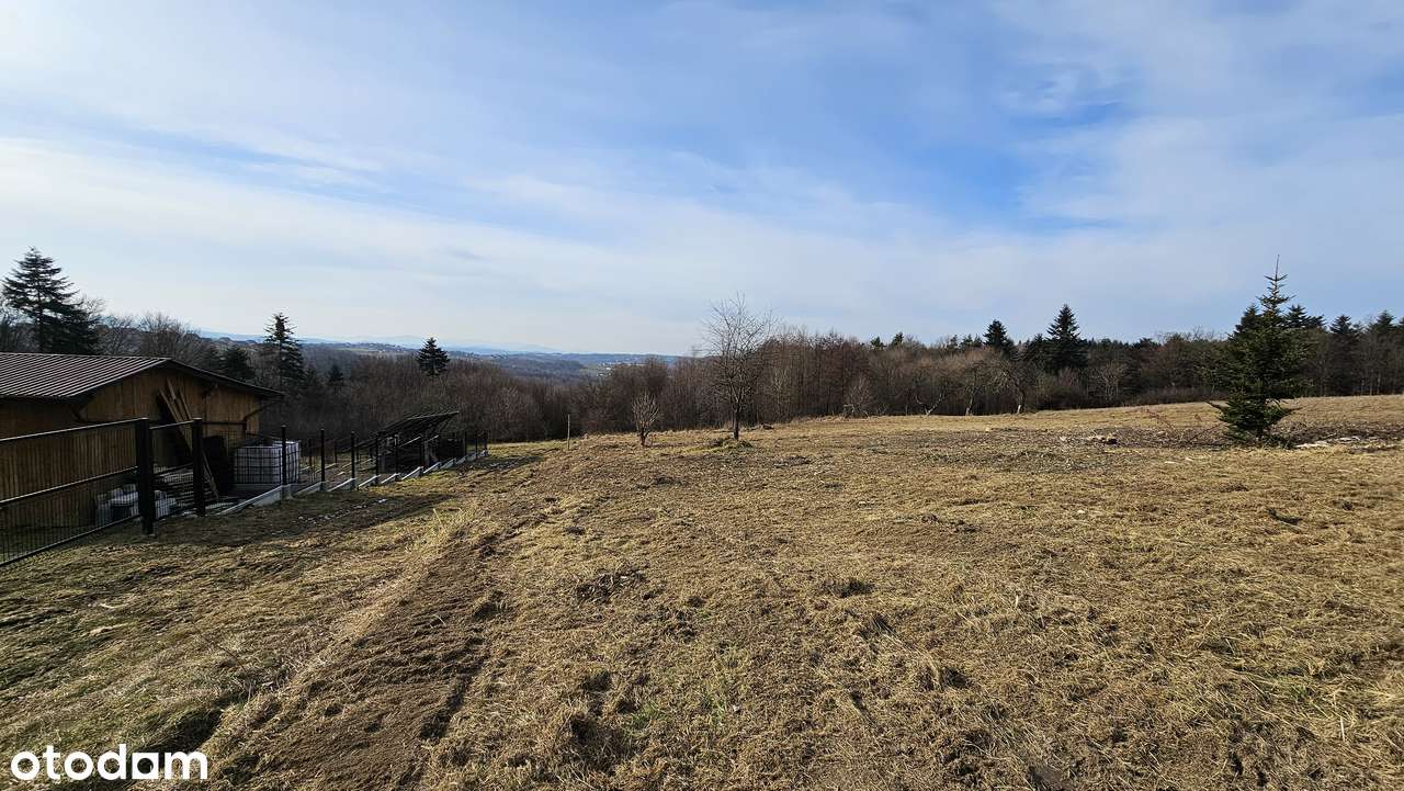 Działka widokowa - góry Muchówka