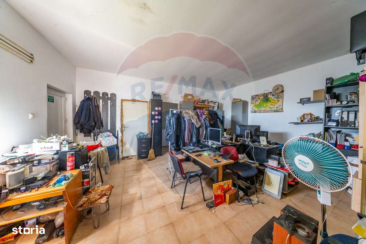 Spațiu industrial cu potential de vanzare in Paulis,Arad-13