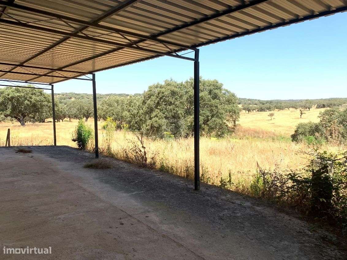 Herdade do Castelo Novo-13