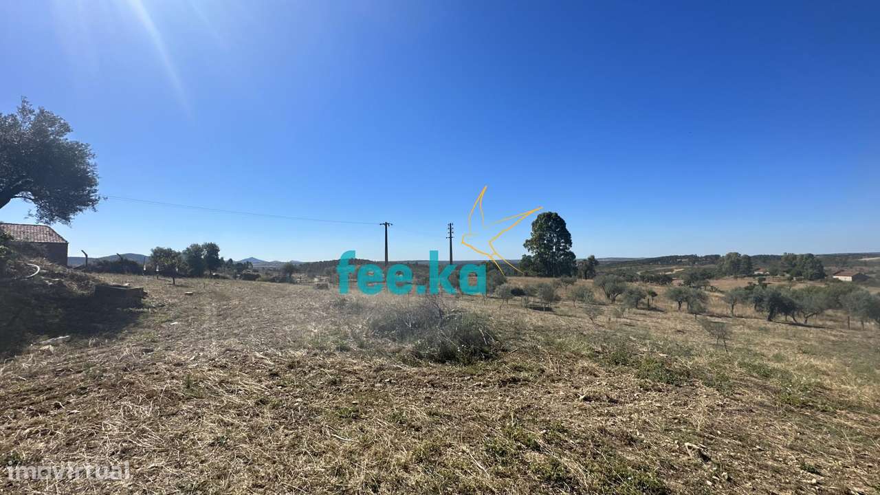 Quintinha em Monfortinho-14