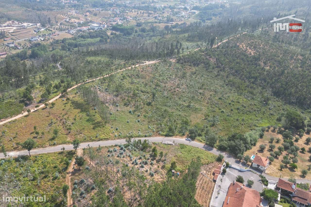 Terreno com 18.600 m2 no Olival - Grande imagem: 4/15