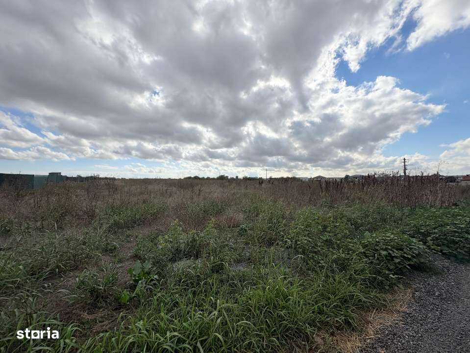 Teren Intravilan, 3334 mp in Valu lui Traian - Imagine principală: 4/8