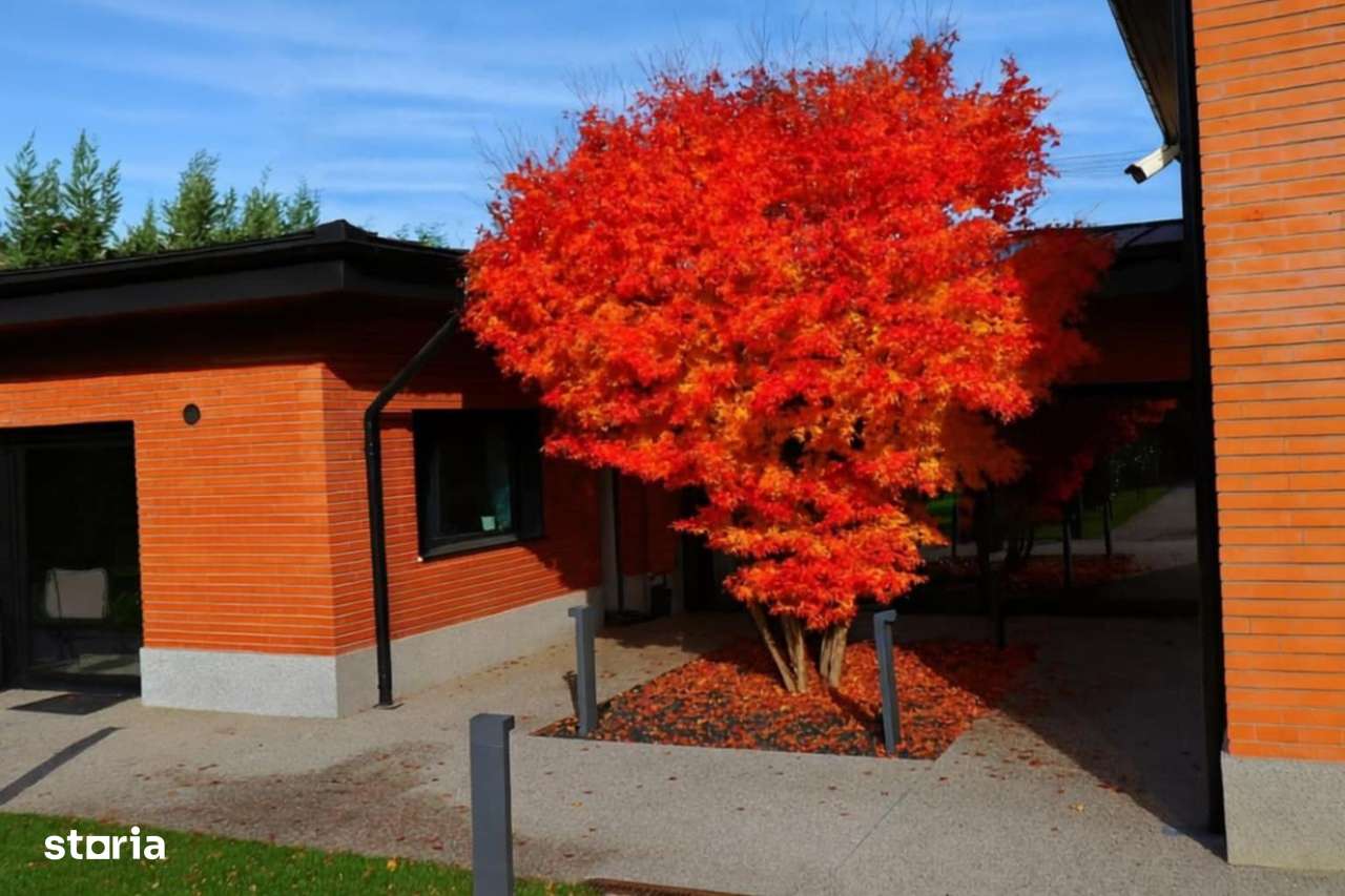 CASA BUCIUM  LA STRADA PRINCIPALA - Imagine principală: 1/20