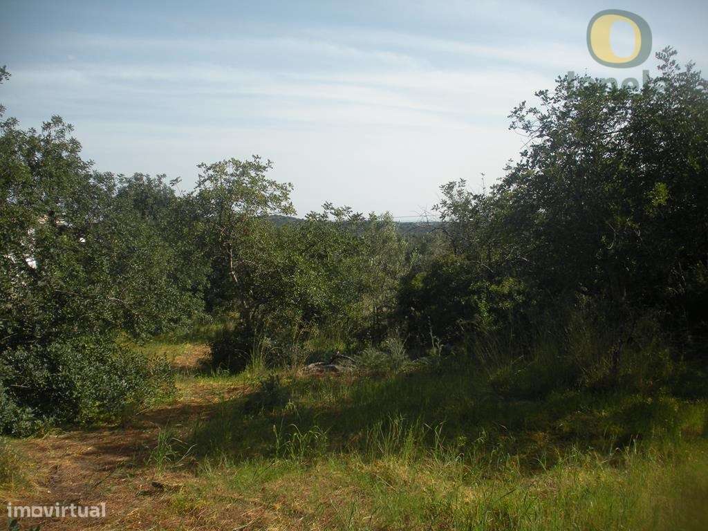 Terreno Rústico Venda Loulé - Grande imagem: 3/5