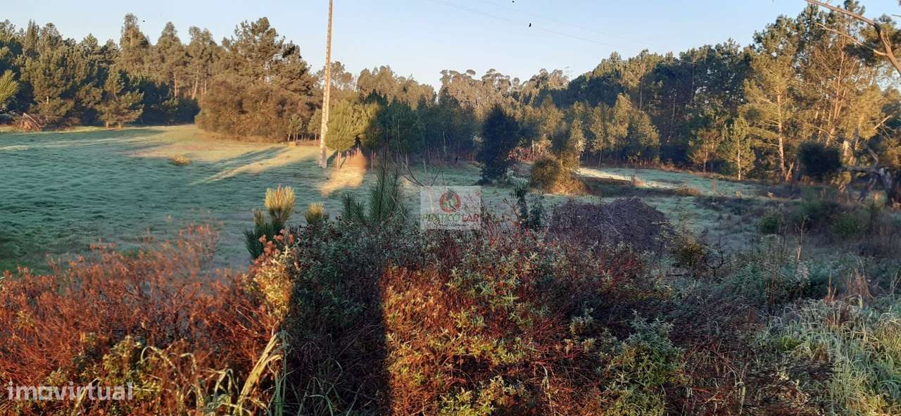 Terreno c viabilidade p construção Oliveira do Bairro - Grande imagem: 2/11