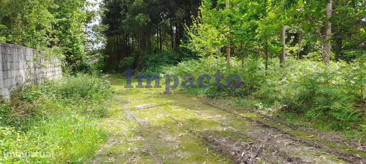 Terreno rústico em Milheirós de Poiares, Santa Maria da Feira - Grande imagem: 3/7