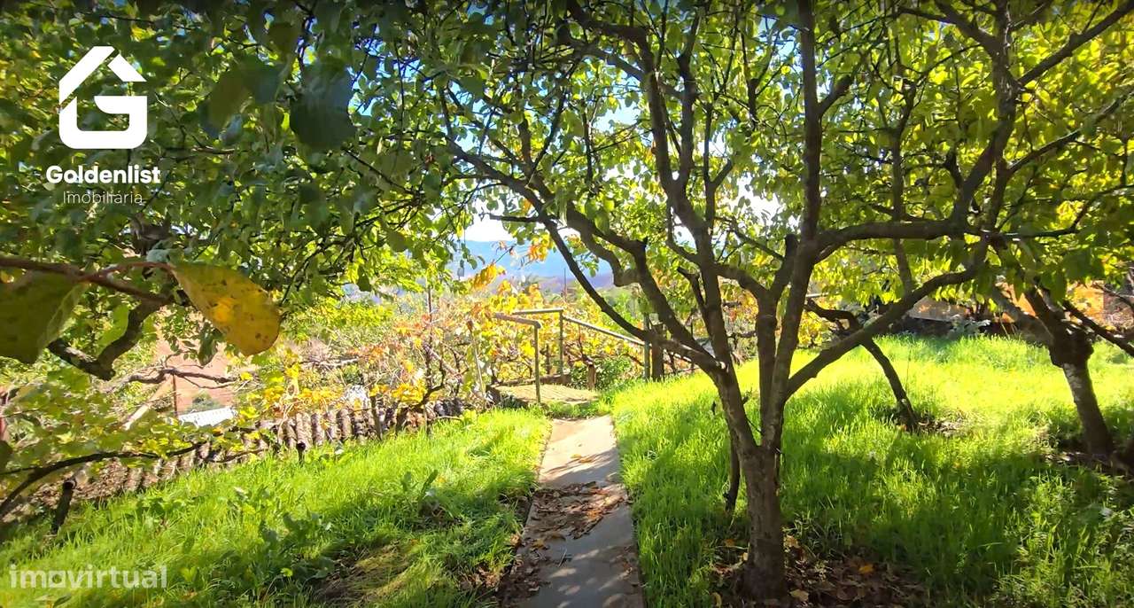 Moradia T6 Venda em Aldeia de São Francisco de Assis,Covilhã-52