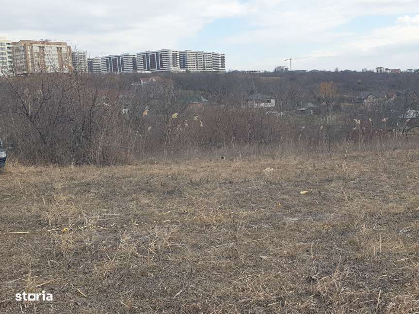 Teren intravilan IASI - COPOU - VITICULTORI -  in vecinatatea padurii-19
