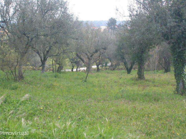 Moradia T3 para restauto, ourém - nossa senhora da piedade - Grande imagem: 4/6