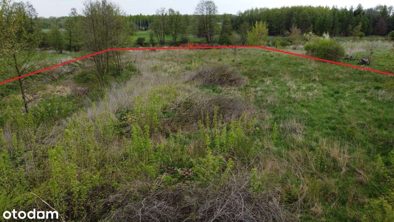 MPZP - Budowlana, niezalewowa, 45 m linii brzegowej,  strumień i staw. - Pełny obrazek: 5/15