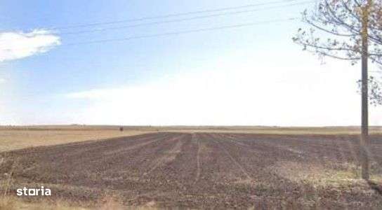 Teren extravilan cota parte 3/16 Amaru, ID: R2764932 - Imagine principală: 4/7