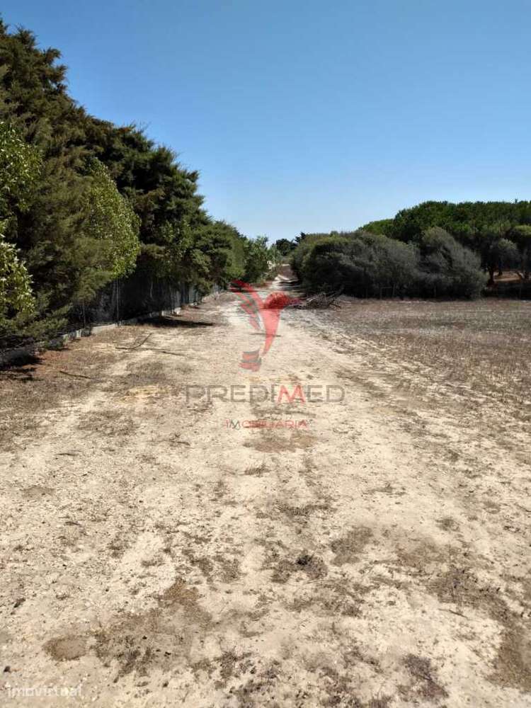 Terreno Rústico de 7.200m2 em Porto Corvo - Grande imagem: 4/9