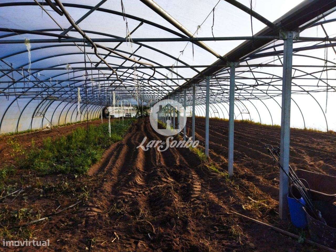 Terreno agrícola em Navais com 1.900m2, na Póvoa de Varzim - Grande imagem: 3/5
