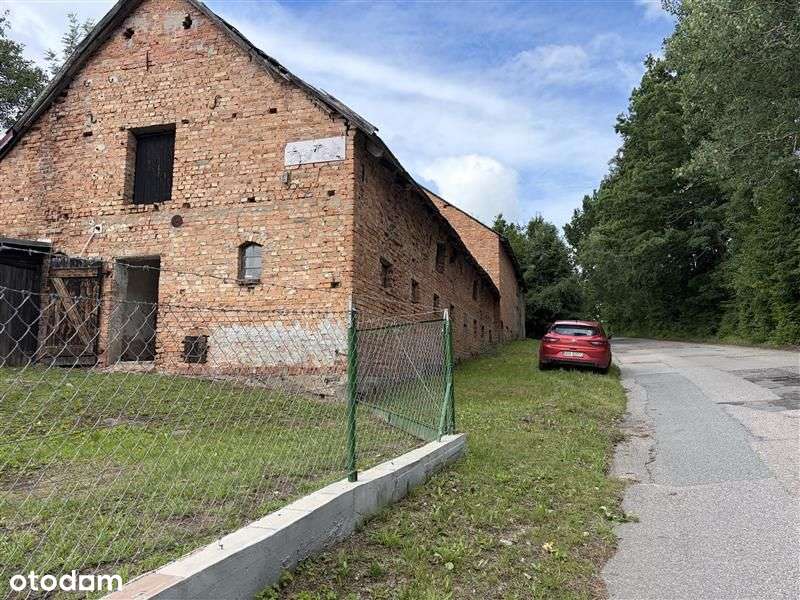 Siedlisko w Drzewinie gm. Trąbki Wielkie-7