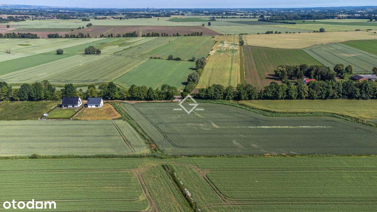 Działka budowlana | Suchy Dąb | 1299m2 - Pełny obrazek: 5/7