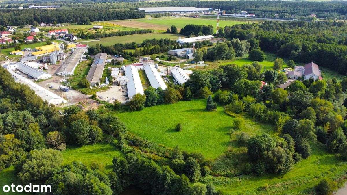 ! 1ha Działka Inwestycyjna 6km OD Oleśnicy ! - Pełny obrazek: 4/6