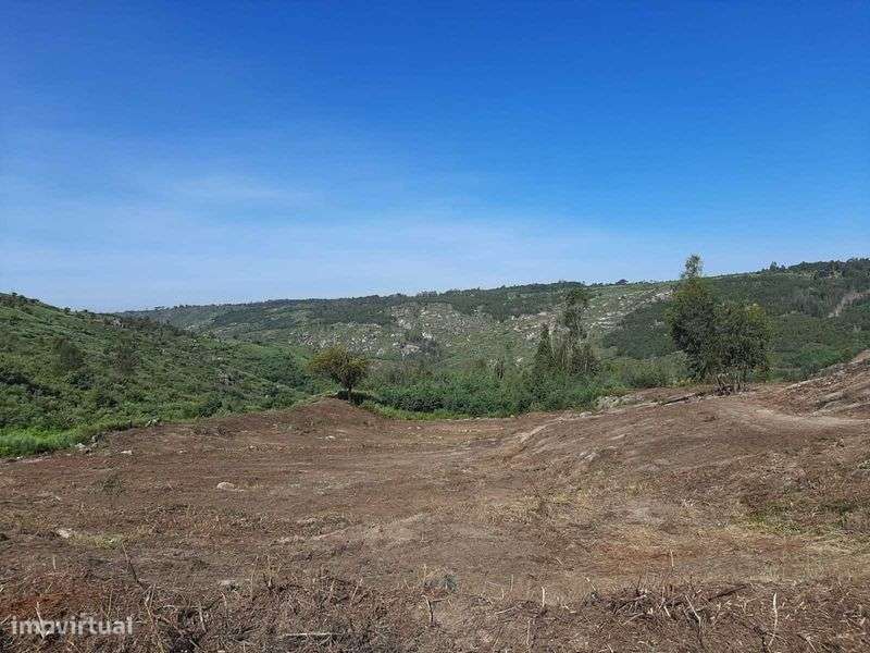 Terreno com casa e acesso ao rio, em Seixas da Beira. - Grande imagem: 4/12