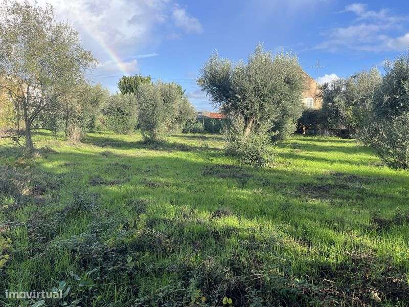 Lote de terreno super bem localizado a bom preço - Grande imagem: 5/12