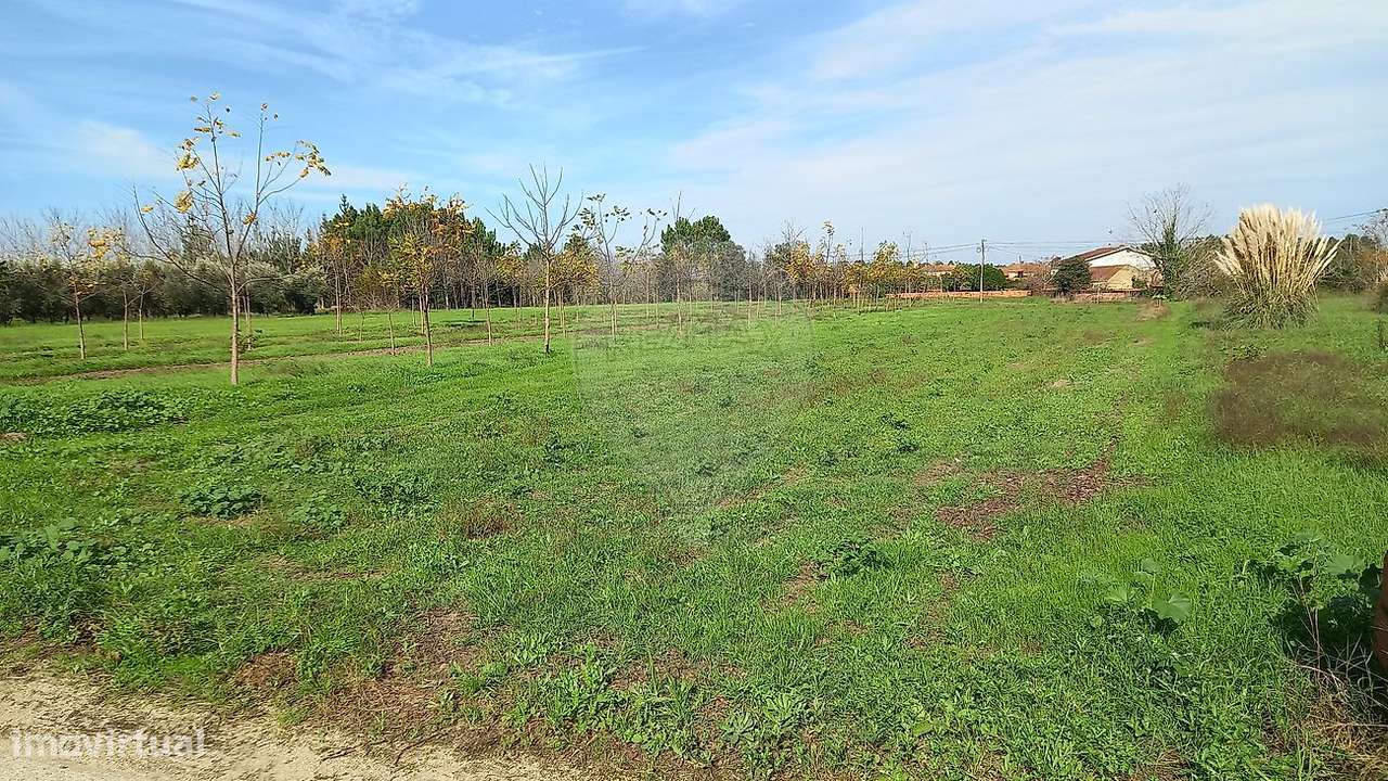 Terreno  para venda - Grande imagem: 4/8