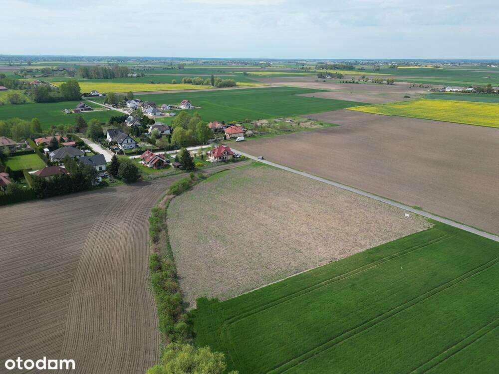 Nowoczesne życie w miejscu o tysiącletniej duszy - Pełny obrazek: 4/9