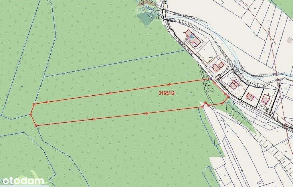 Łopuszna - duża dzialka leśna - Pełny obrazek: 4/7