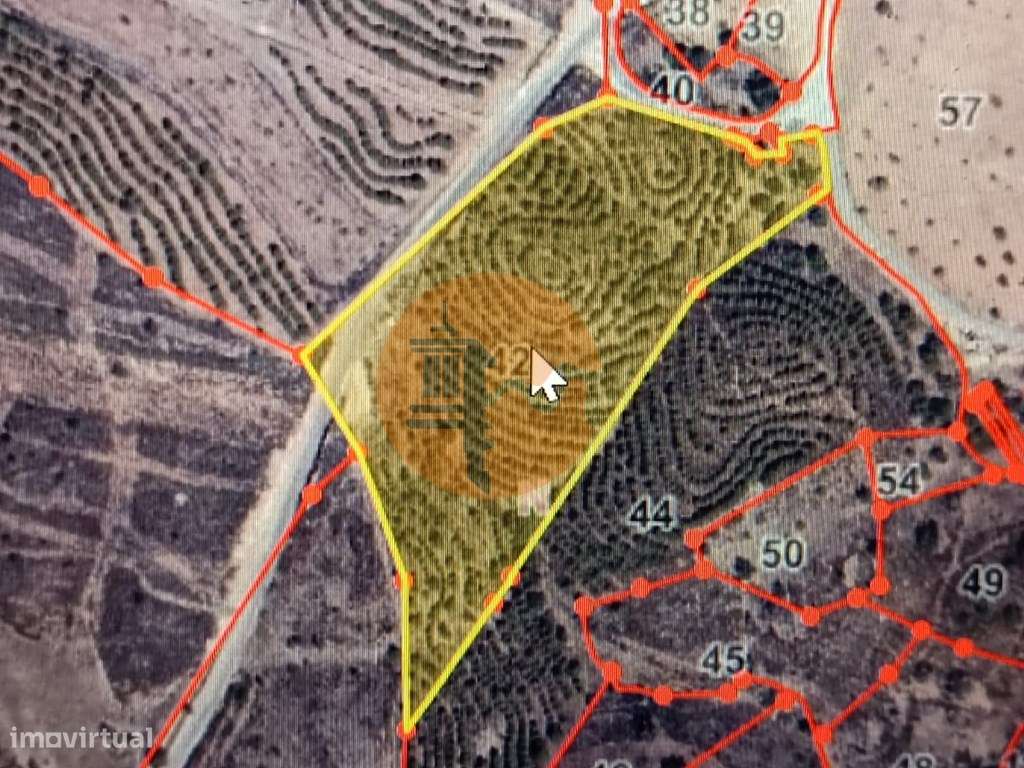 TERRENO COM 15.280 M2 - MURTEIRA - AZINHAL - CASTRO MARIM - ALGARVE - Grande imagem: 2/33