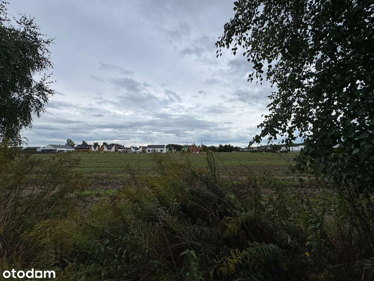 Dachowa | Dwie działki budowlane, łacznie  1552 m² z MPZP-16