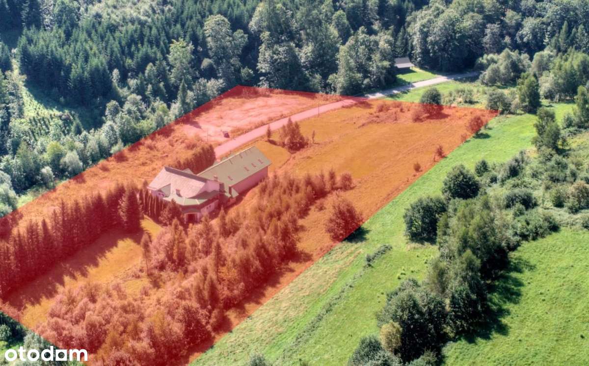 Obiekt mieszkaniowo -usługowy na 1,35 ha działce- LUBIEŃ-1