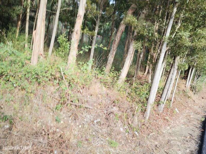 Terreno em área urbana - Grande imagem: 3/10