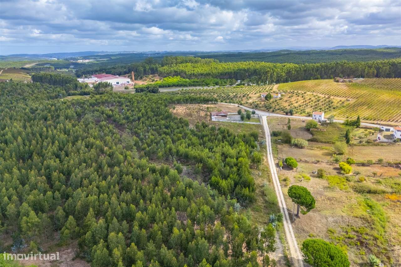 Lote de Terreno para construção 1000 m2.  Inserido em loteamento  para - Grande imagem: 4/7