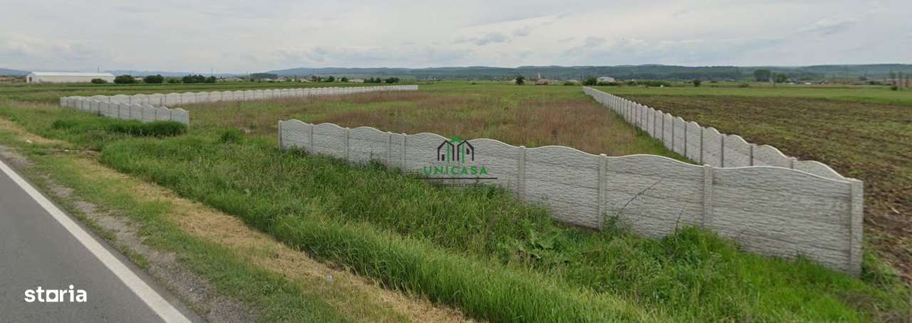 Teren Zona industriala / 2500mp - Imagine principală: 2/4