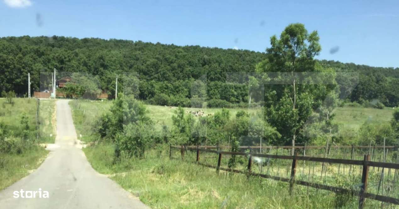 Oportunitate! Teren intravilan 1200 mp, Satul de Vacanta Podari - Imagine principală: 3/4