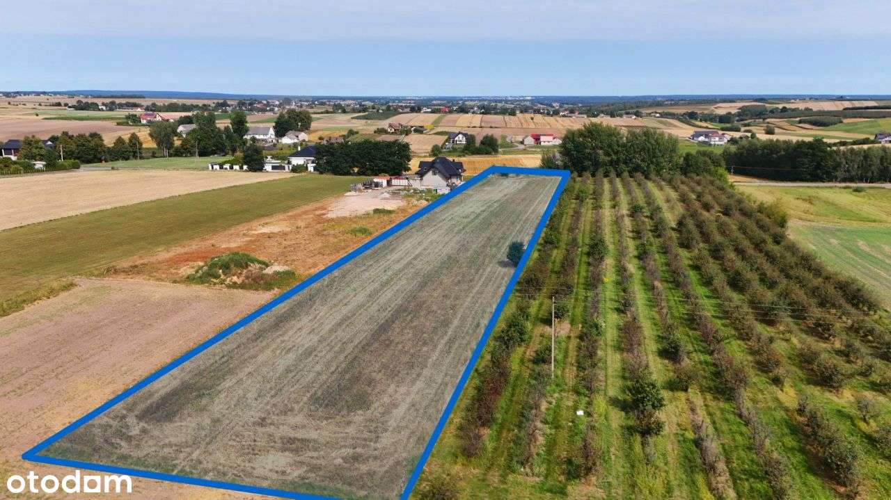 Działka rolno- budowlana z potencjałem - Pełny obrazek: 4/8